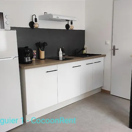 Appartamento Lamourguier 1, Proche Des Halles, Wifi, Bureau Narbona